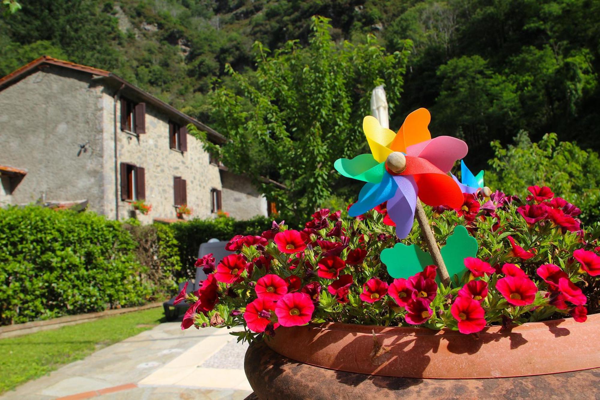 Casa Vacanze Il Boscaccio "Casa Massimo" Fornovolasco Exterior photo